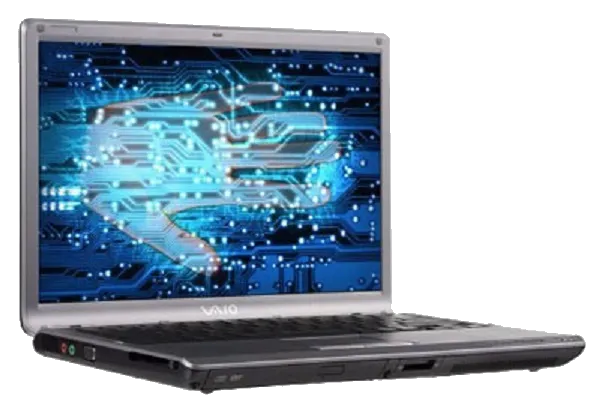 VAIO VGN-NS360F